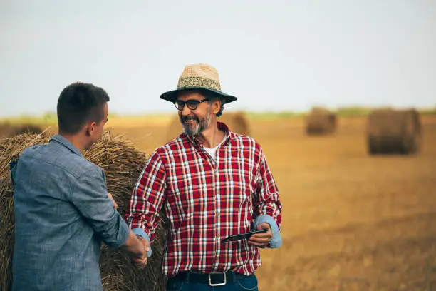 farmer shaking hands with his young colleague in wheat field