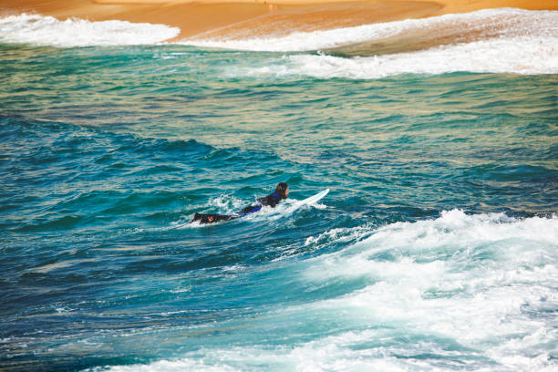 istock Man with surfboard at the beach 1163788079