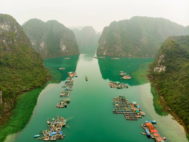 tradycyjna wioska cua van floating village w zatoce halong - vietnam halong bay bay photography zdjęcia i obrazy z banku zdjęć