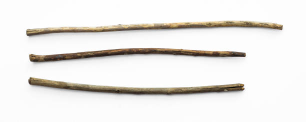 istock ancient wooden staff on a white background 1163788490