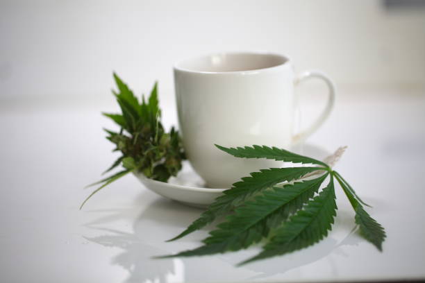 istock hemp tea .  medical cannabis leaf 1163788680