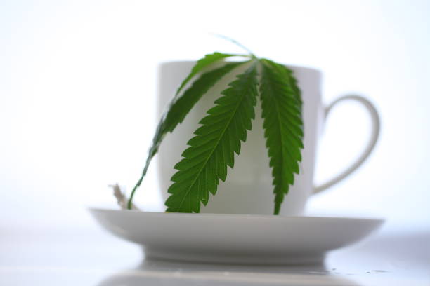 istock hemp tea .  medical cannabis leaf 1163788733