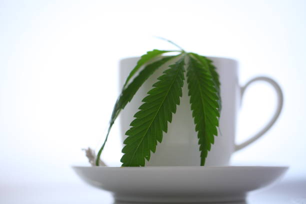 istock hemp tea .  medical cannabis leaf 1163788735