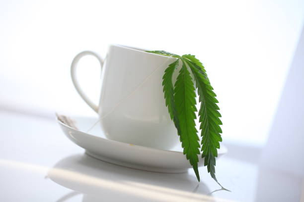 istock hemp tea .  medical cannabis leaf 1163788736