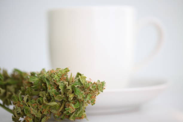 istock hemp tea .  medical cannabis leaf 1163788760