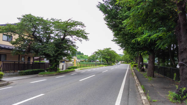 vista de la ciudad de hiraizumi - mutsu fotografías e imágenes de stock