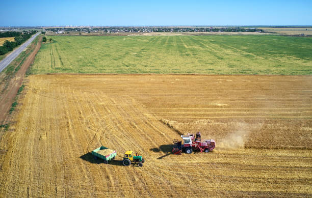 istock combine harvester harvests on the field 1163791407