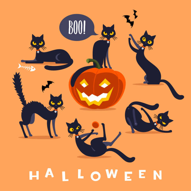 Halloween black cat character Funny Halloween black cat isolated in different poses. black cat stock illustrations