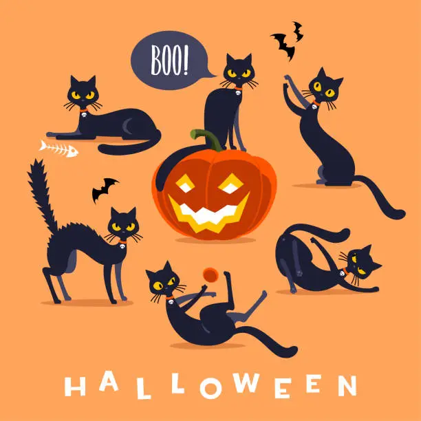Vector illustration of Halloween black cat character