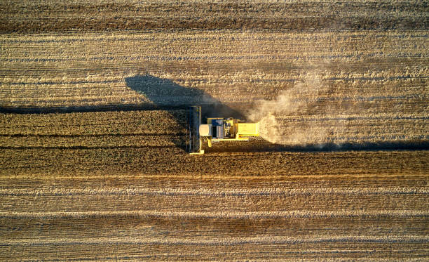 istock combine harvester harvests on the field 1163791780