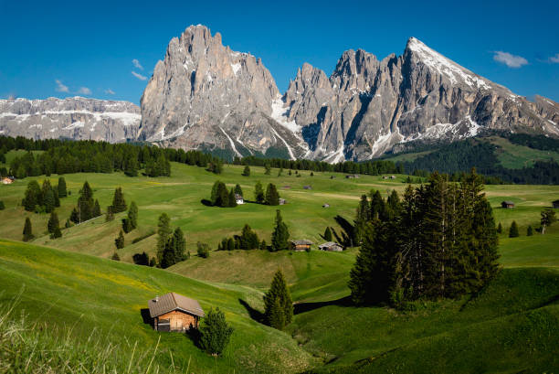 istock Seiser Alm, Dolomites, South Tyrol, Italy, Europe 1163797523