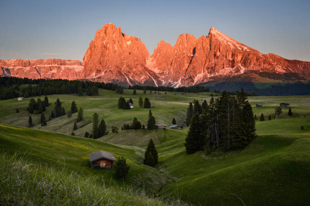 Seiser Alm, Dolomites, South Tyrol, Italy, Europe