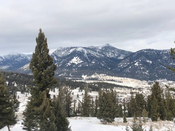 istock Rocky Mountain Beauty 1163799688