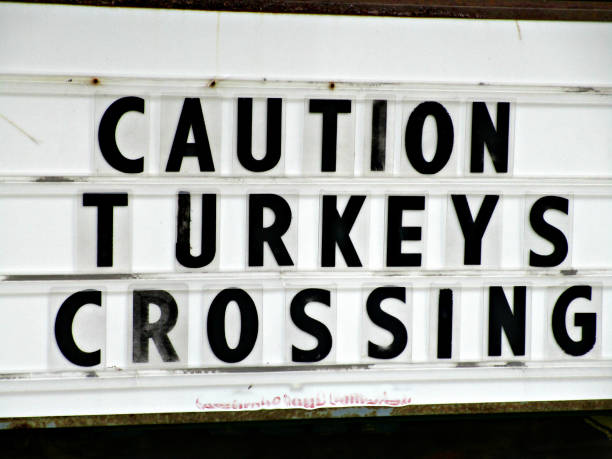 istock Wild Turkey Crossing Sign 1163802033