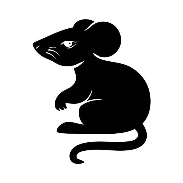 Vector mouse animal flat illustration for Christmas and new year design, symbol of 2020 in Chinese calendar. Cute gray rat on Santa hat with a gift. For party invitation, holiday icon, greeting card Vector mouse animal flat illustration for Christmas and new year design, symbol of 2020 in Chinese calendar. Cute gray rat on Santa hat with a gift. For party invitation, holiday icon, greeting card baby new years eve new years day new year stock illustrations
