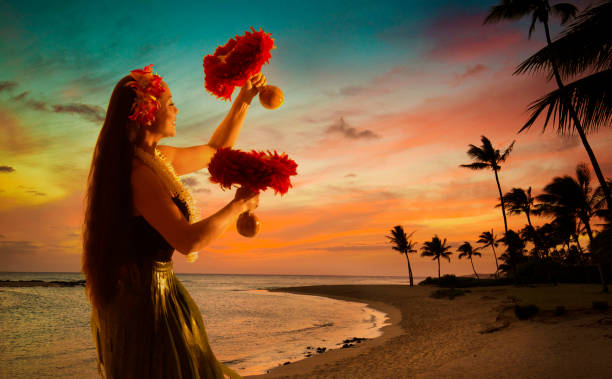 hula dancer na hawajskiej plaży o zachodzie słońca z palmą - hawaiian ethnicity zdjęcia i obrazy z banku zdjęć