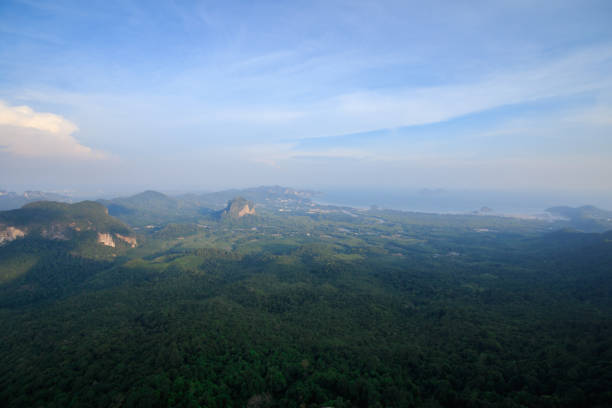 paisagem da floresta na montanha - sunrise new zealand mountain range mountain - fotografias e filmes do acervo