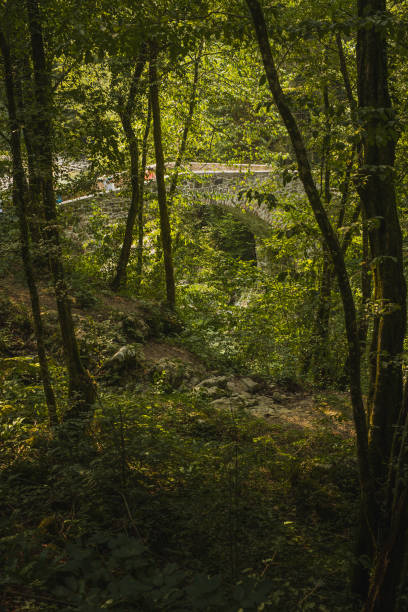 istock Napoleon bridge over Nadige river 1163816284