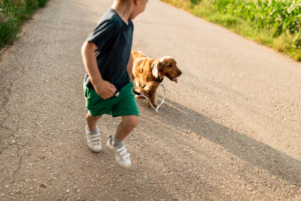 istock Little boy playing with dog 1163818026