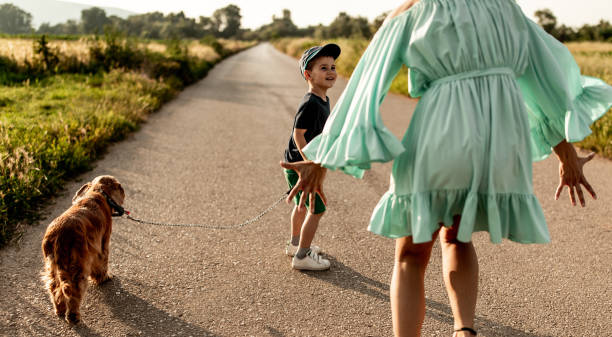 маленький мальчик, играющий со своей матерью и собакой - dog walking child little boys стоковые фото и изображения