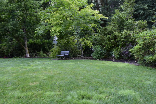 istock Park Bench Among Open Green Park 1163819623