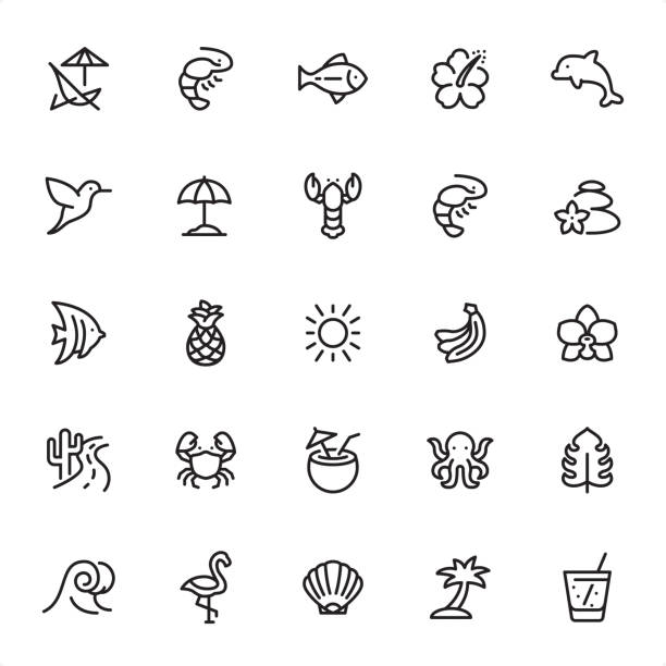 Summer Vacations - Outline Icon Set Summer Vacations - 25 Outline Style - Single black line icons - Pixel Perfect / Pack #42 - Icons are designed in 48x48pх square, outline stroke 2px.

First row of outline icons contains:
Deck Chair, Shrimp, Fish, Hibiscus, Dolphin;

Second row contains:
Humming Bird, Umbrella, Lobster, Shrimp, Spa;
  
Third row contains:
Butterflyfish, Pineapple, Sun, Bananas, Orchid;   

Fourth row contains:
Road, Crab, Cocktail, Octopus, Leaf;

Fifth row contains:
Wave, Flamingo, Shell, Palm Tree, Lemonade.

Complete Grandico collection - https://www.istockphoto.com/collaboration/boards/FwH1Zhu0rEuOegMW0JMa_w banana seat stock illustrations