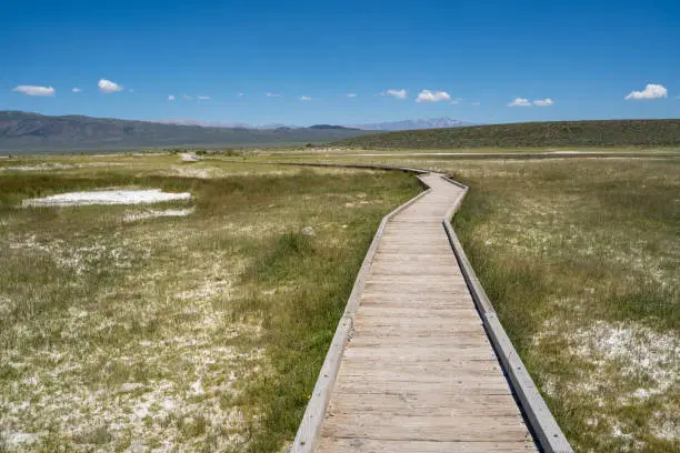 Photo of Elevated boardwalk leading to Wild Willys Hot Springs in Mammoth Lakes California