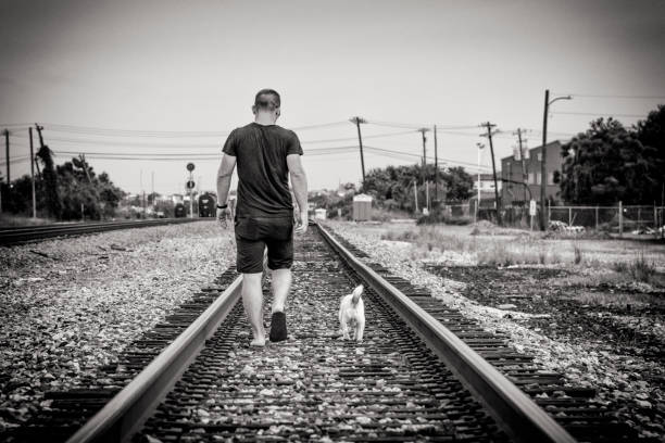 istock Man and His Dog Walking on the Tracks 1163823535