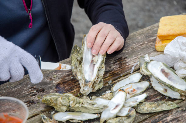 istock Outdoor Winter Oyster Roast 1163824614