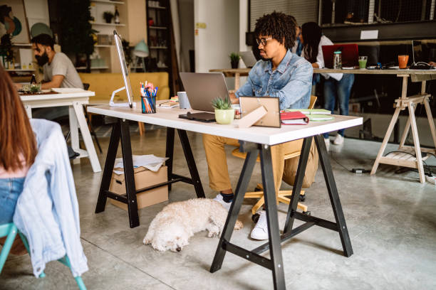 istock Happy Man with his dog at Co-working Office 1163824678