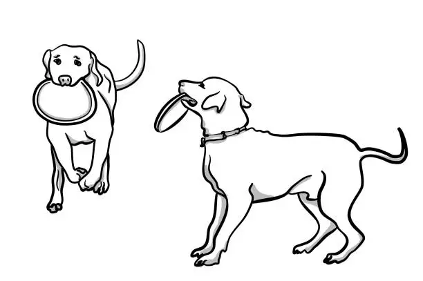 Vector illustration of Dog And Frisbee