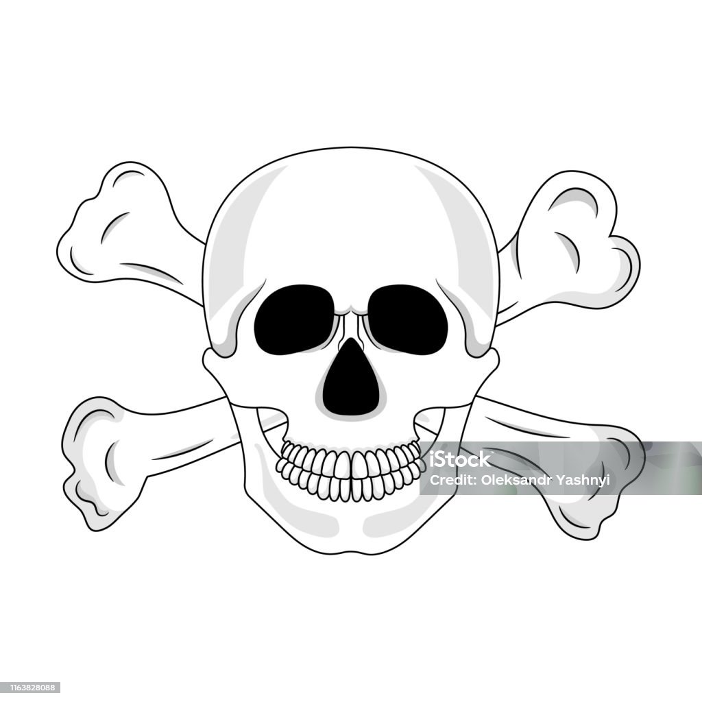 Skull And Crossed Bones Isolated On White Background Cartoon Human Skull  With Jaw Vector Illustration For Any Design Stock Illustration - Download  Image Now - iStock