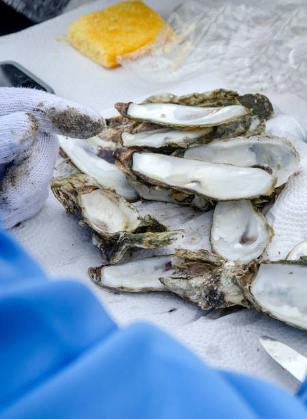 istock Outdoor Winter Oyster Roast 1163828143