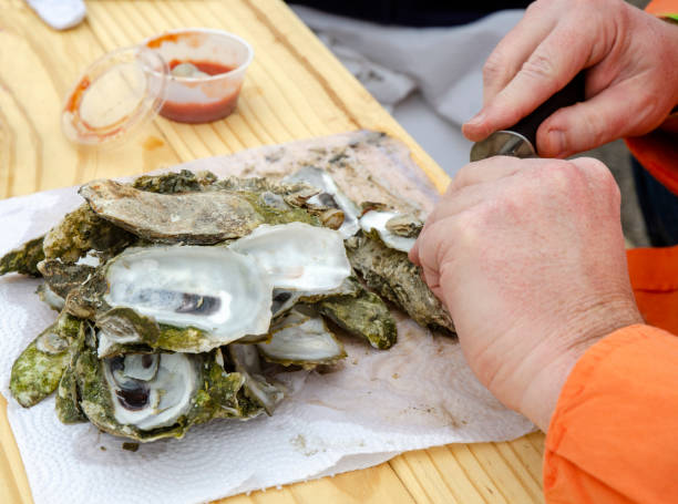 istock Outdoor Winter Oyster Roast 1163828567