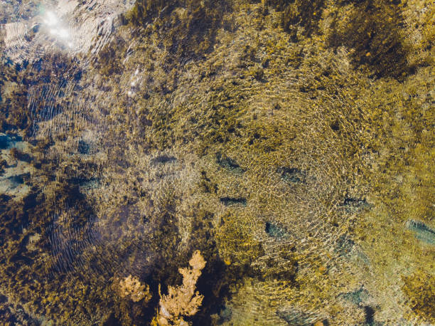 istock The Waves of water close up. Water on the river. River view from above. 1163828607