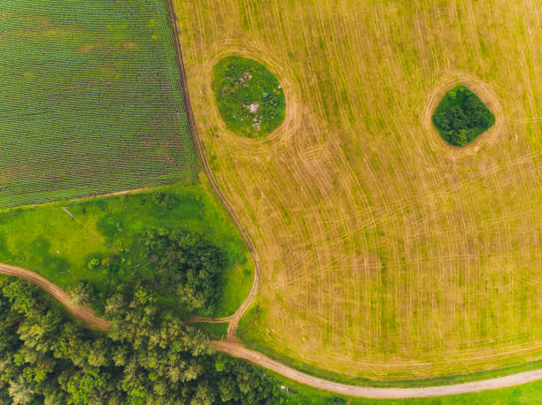 istock Top view of park, Natural grass texture. 1163828641