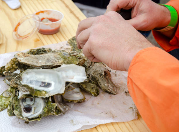 istock Outdoor Winter Oyster Roast 1163828754