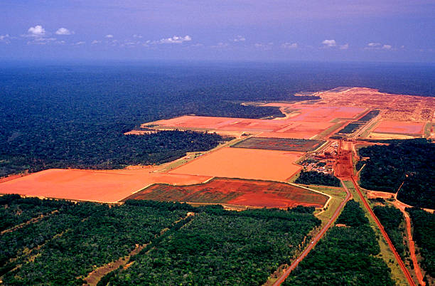 industrie de l'amazonie - iron mining photos et images de collection