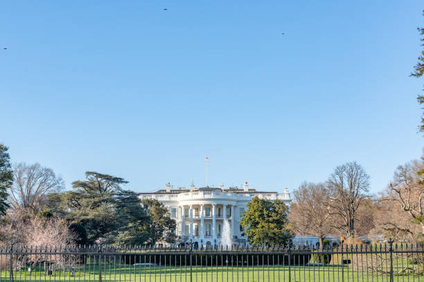全米桜祭りの間にホワイトハウス、ワシントンdc、アメリカ合衆国 - washington dc day white house american flag ストックフォトと画像