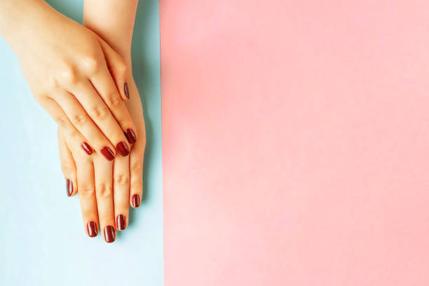 istock Female hands with red manicure on a pink and blue background, top view 1163838150