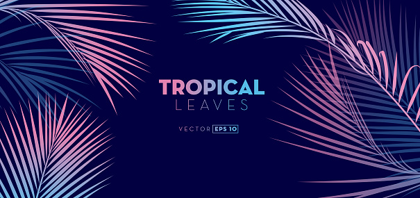 Vector illustration of a set of Hand drawn Tropical Leaves background. EPS 10