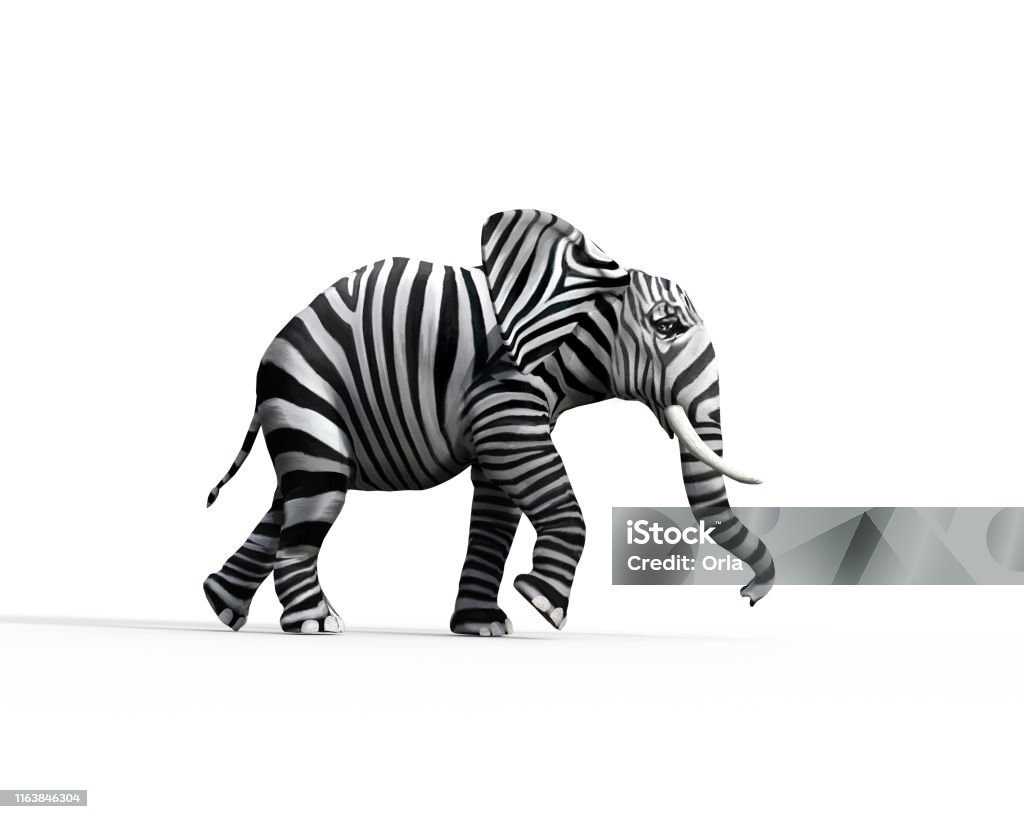 Elephant with zebra skin in the studio. The concept of being different. 3d render illustration Individuality Stock Photo