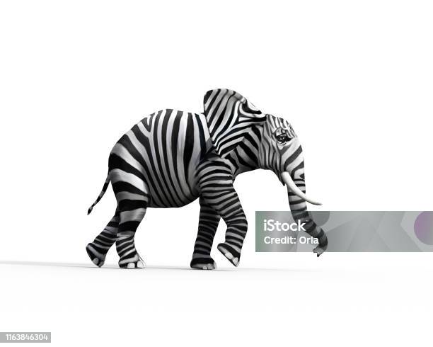 Elephant With Zebra Skin In The Studio The Concept Of Being Different 3d Render Illustration Stock Photo - Download Image Now