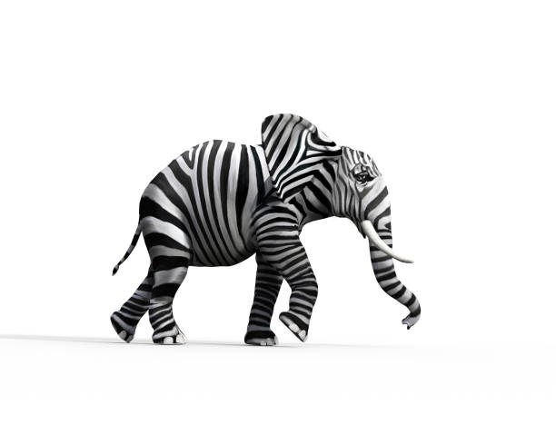 elephant with zebra skin in the studio. the concept of being different. 3d render illustration - zebra imagens e fotografias de stock