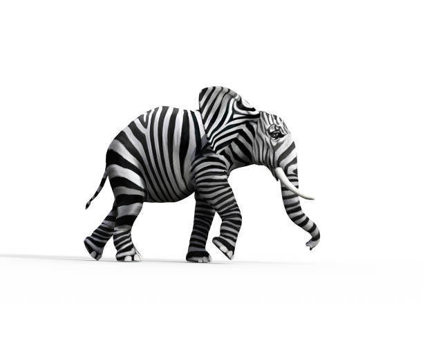 слон с кожей зебры в студии. концепция бытия отличается. 3d иллюстрация рендера - вариация иллюстрации стоковые фото и изображения