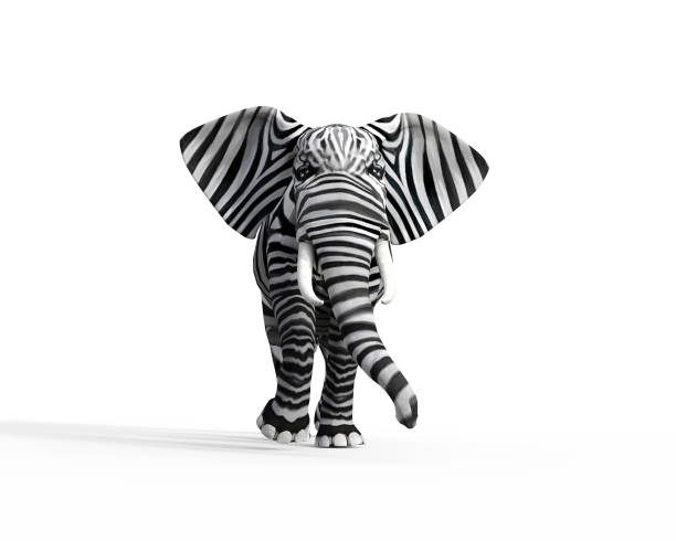 elefant mit zebrahaut im studio. das konzept des andersseins. 3d-render-illustration - animal skin stock-fotos und bilder