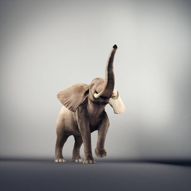 Joyful elephant in a studio. 3d render Joyful elephant in a studio. 3d render Biggest stock pictures, royalty-free photos & images