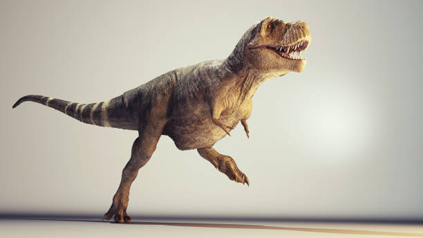 Tyrannosaurusrex Running In Studio 3d Render Stock Photo - Download Image  Now - Running, Tyrannosaurus Rex, Monster - Fictional Character - iStock