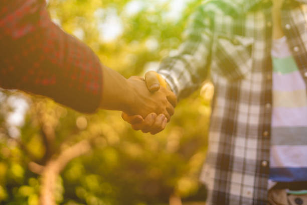 farmers shake hands, sign contract, agriculture concept