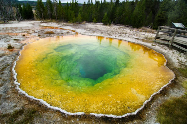 istock Yellowstone National Park - Morning Glory Pool & Surrounding Area 1163847506